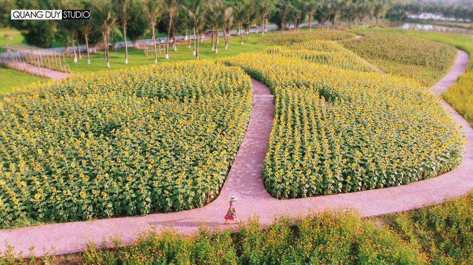 Sue Homestay Ecopark フンイエン エクステリア 写真